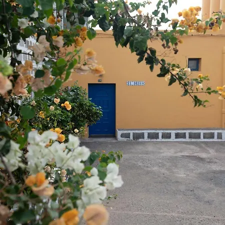 Vista Farallon