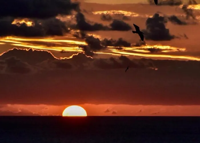 Vista Farallon דירה *