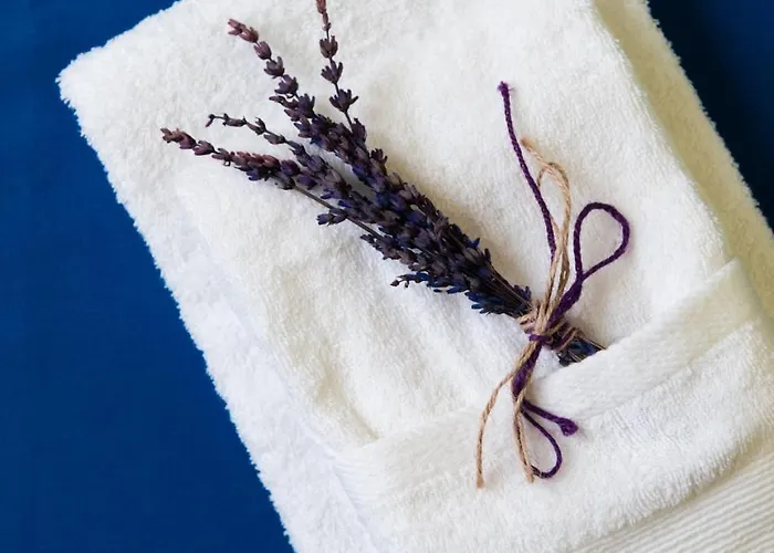 Vista Farallon דירה